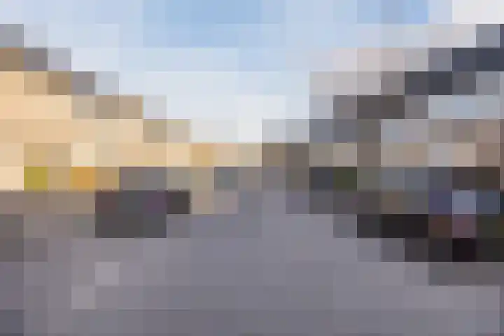 Zwaanhil 3 Bergen op Zoom thumbnail 9