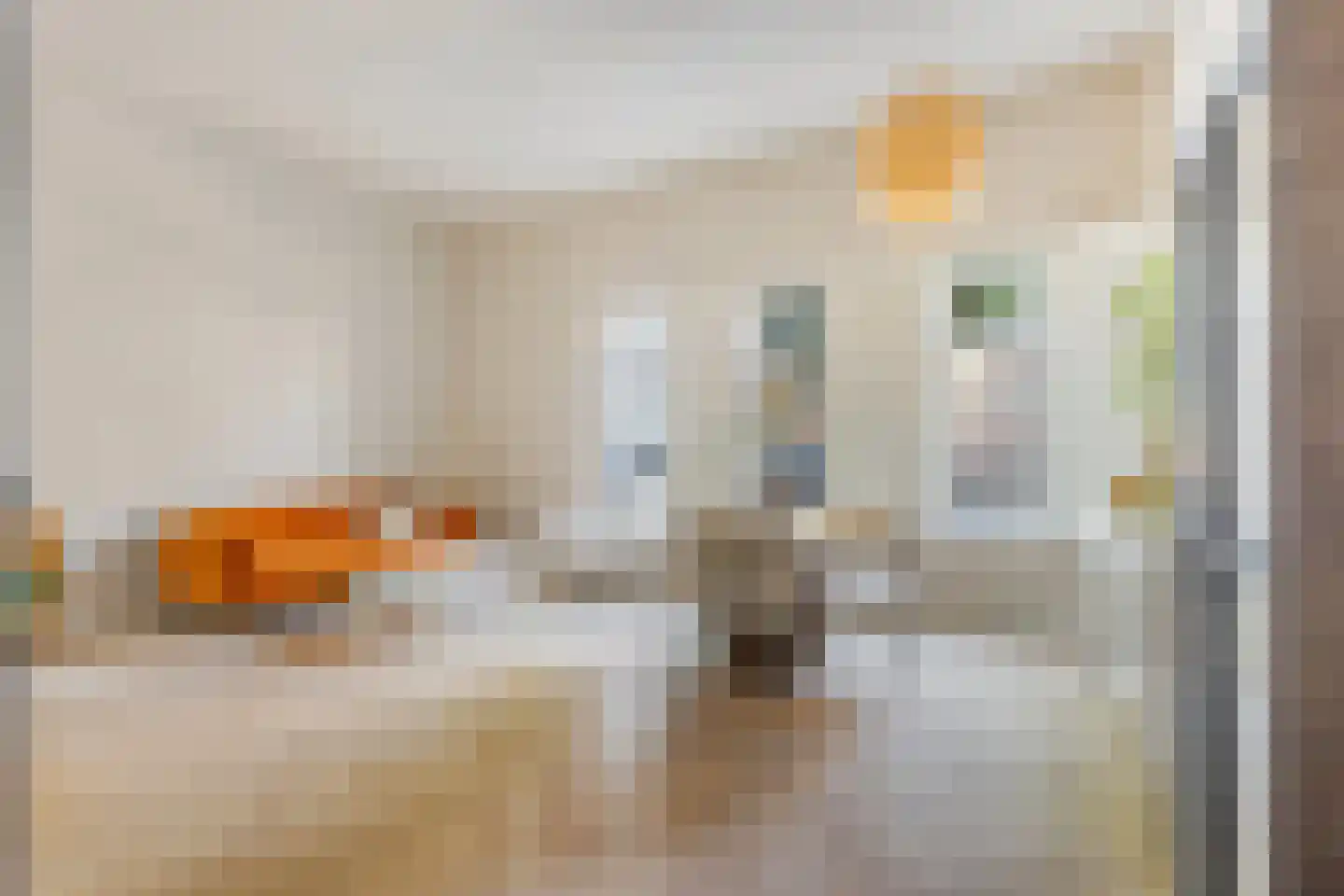 Zwaansgat 26 Gouda thumbnail 12
