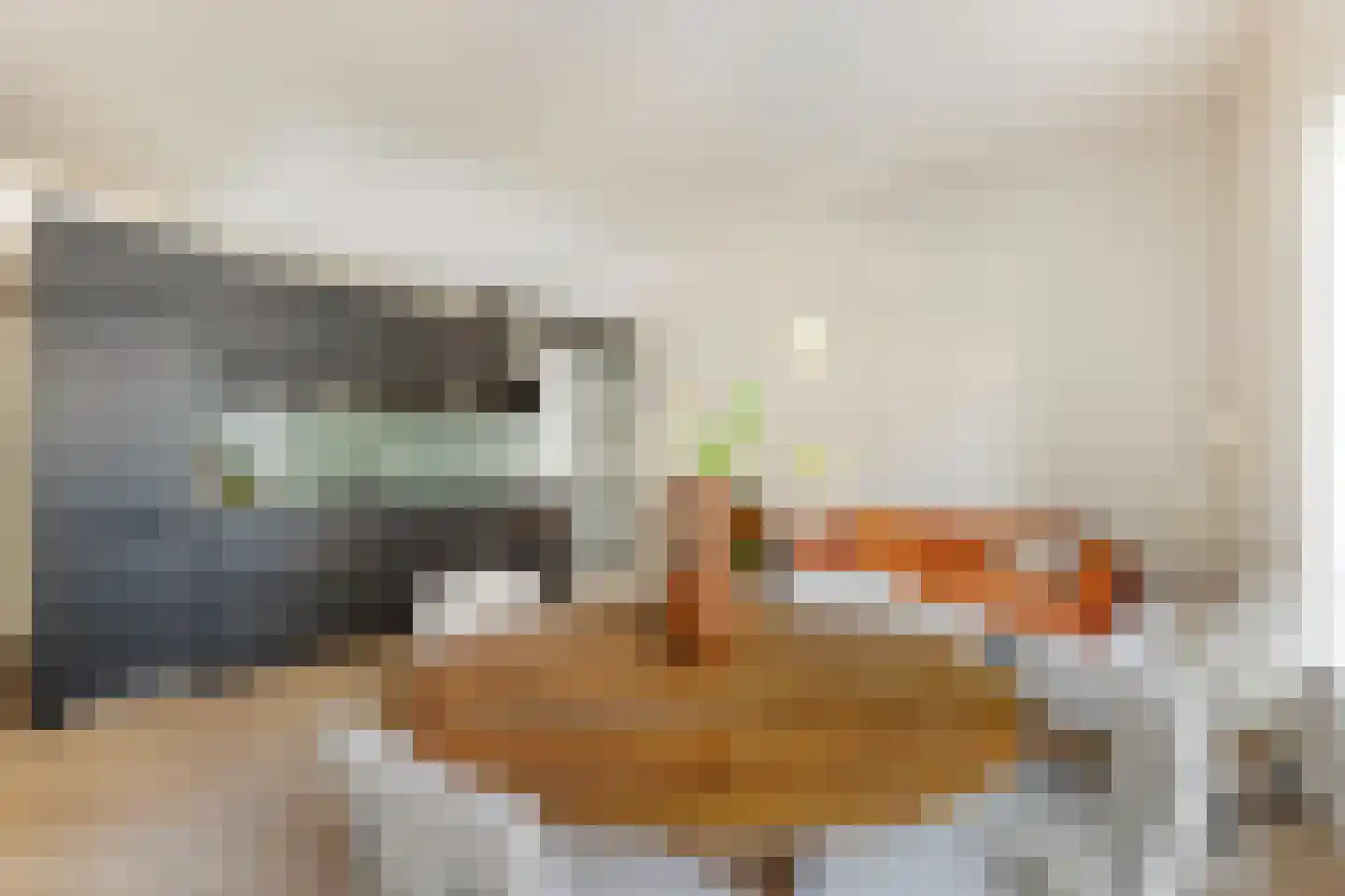 Zwaansgat 26 Gouda thumbnail 14