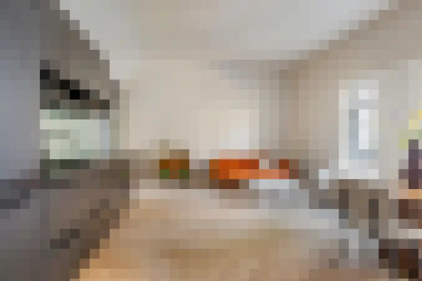 Zwaansgat 26 Gouda thumbnail 18