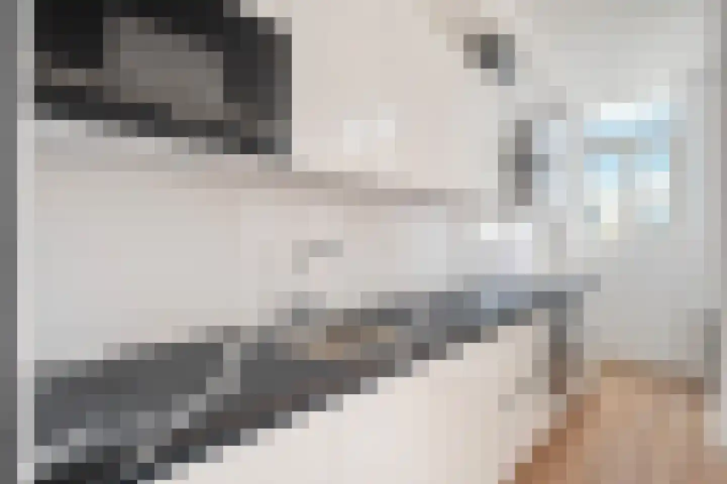 Zwaanshals 252 A Rotterdam thumbnail 6