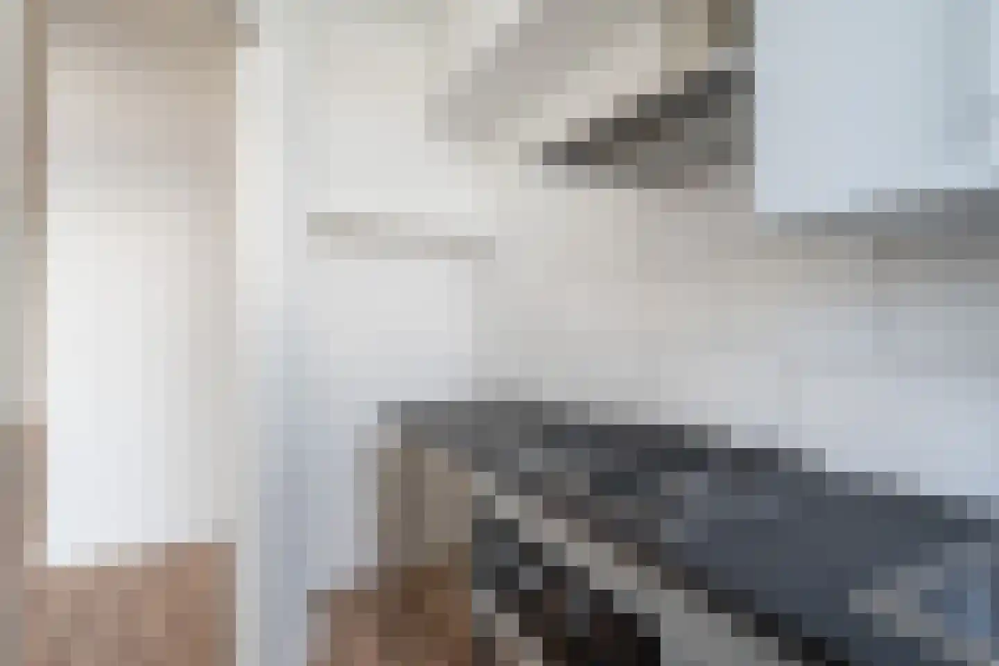 Zwaanshals 252 A Rotterdam thumbnail 8