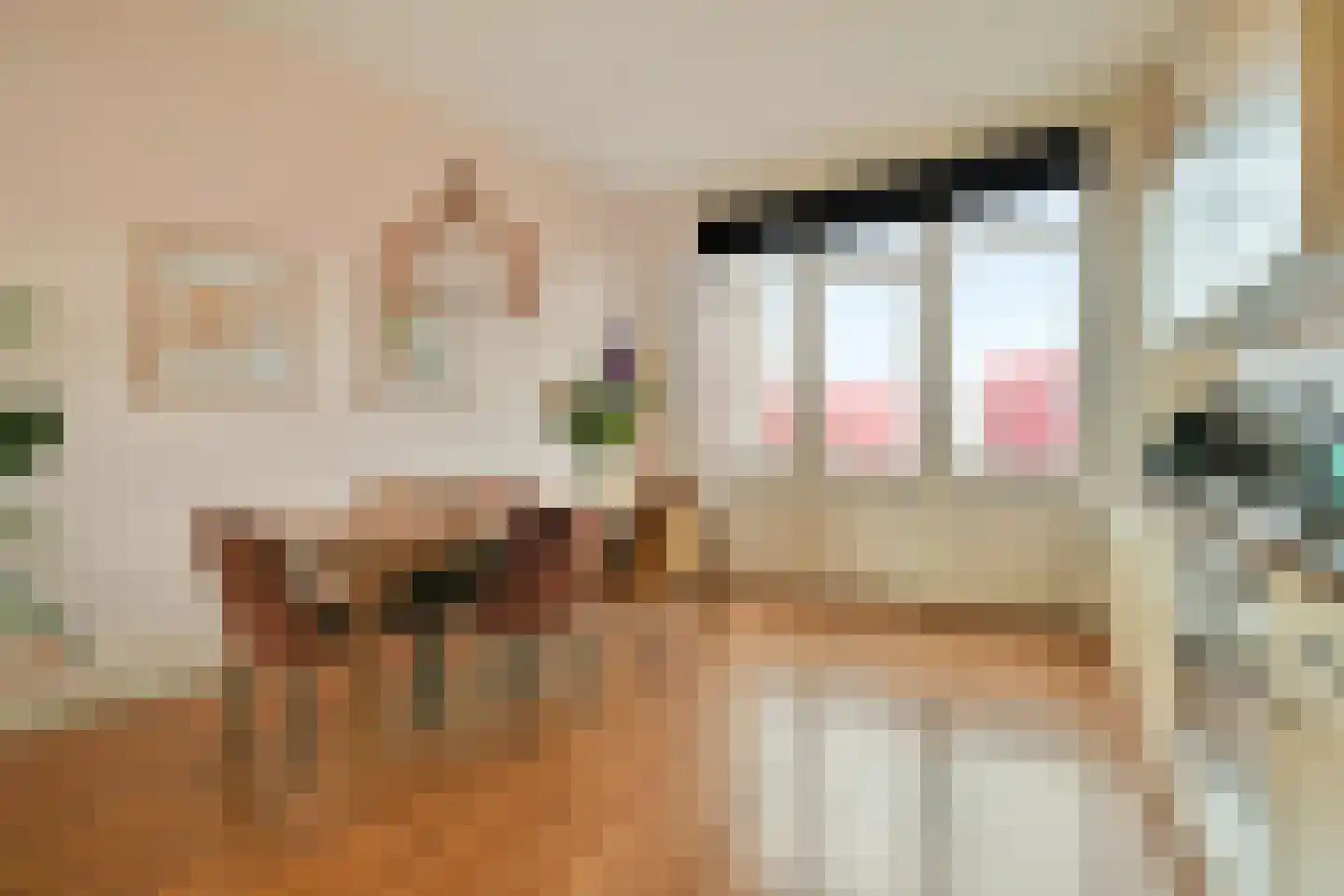 Zwaanshals 266 B 02 Rotterdam thumbnail 12