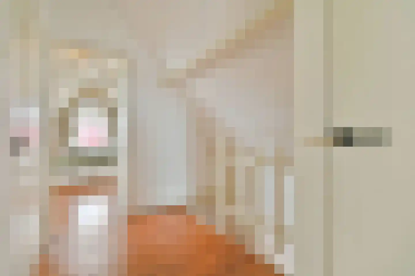 Zwaanshals 266 B 02 Rotterdam thumbnail 18