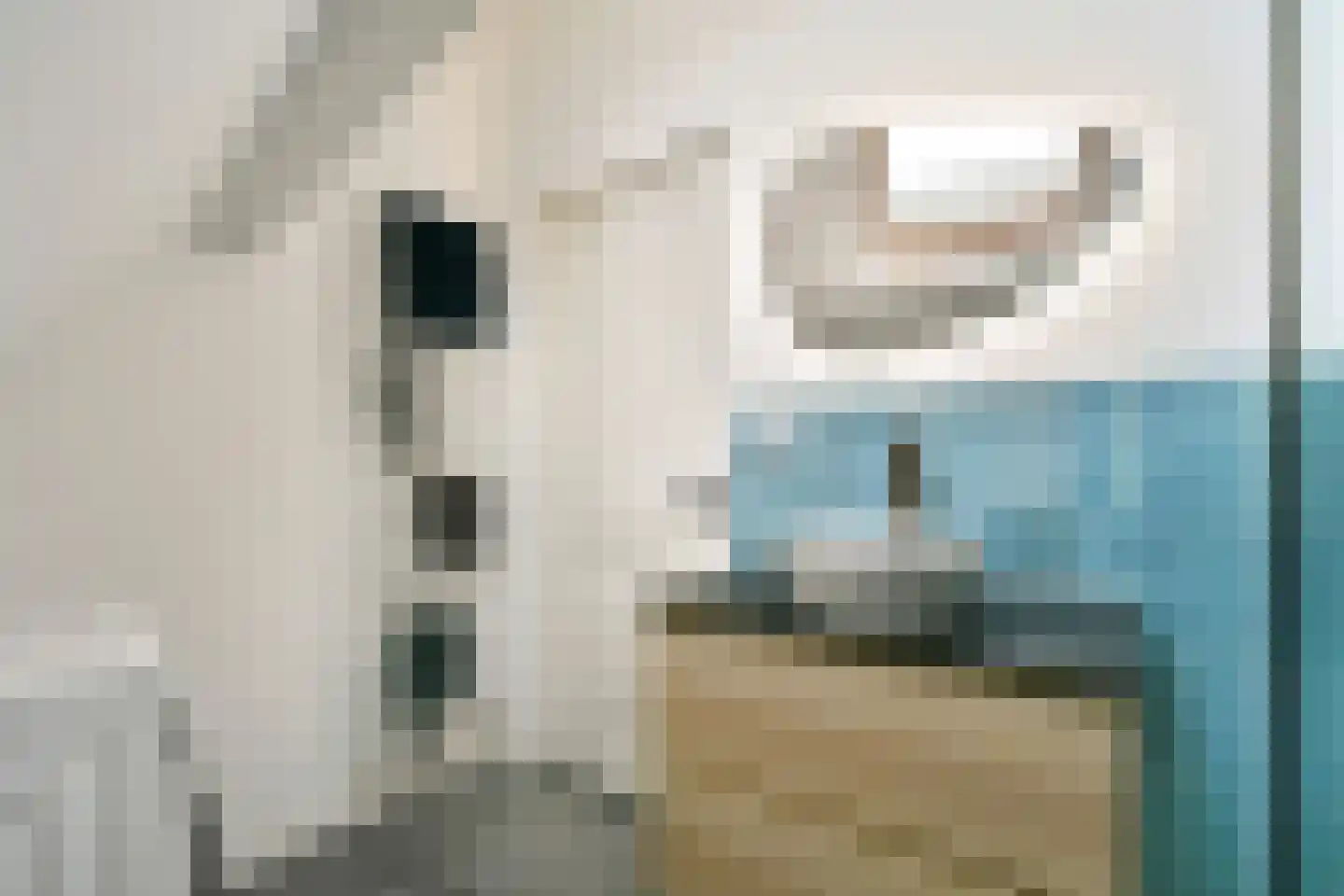 Zwaanshals 266 B 02 Rotterdam thumbnail 22