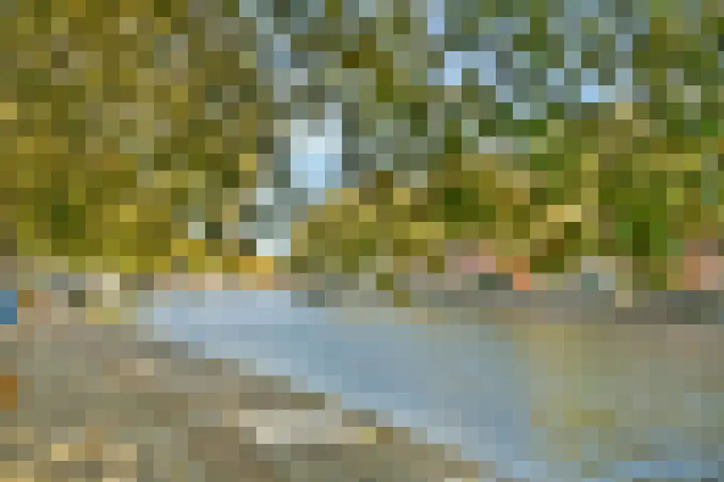 Zwaanshals 266 B 02 Rotterdam thumbnail 27