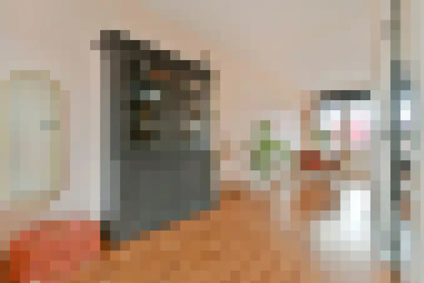Zwaanshals 266 B 02 Rotterdam thumbnail 9