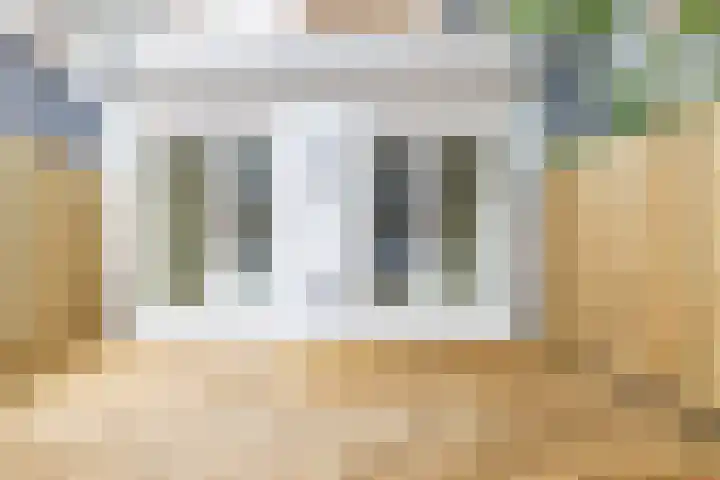 Zwaanshals 286 A Rotterdam thumbnail 17