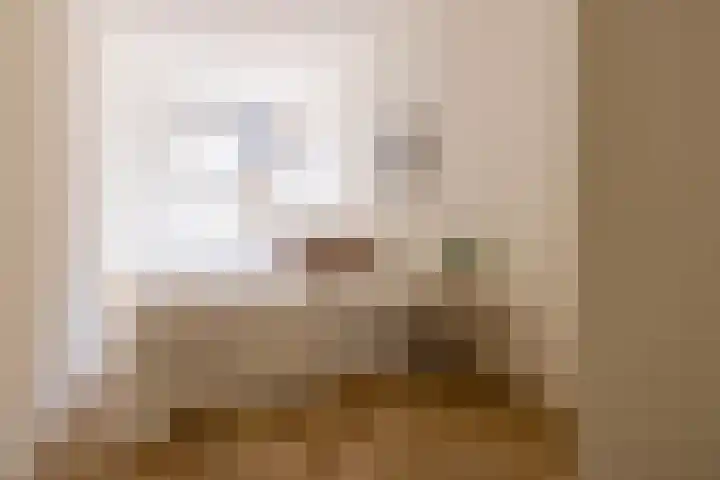 Zwaanshals 286 A Rotterdam thumbnail 4