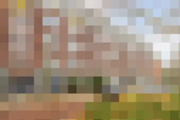 Zwaanshals 77 H in Rotterdam