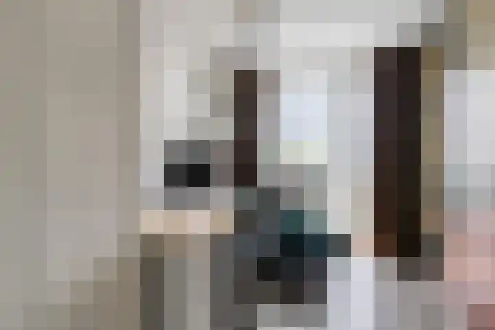 Zwaanshals 77 H Rotterdam thumbnail 18