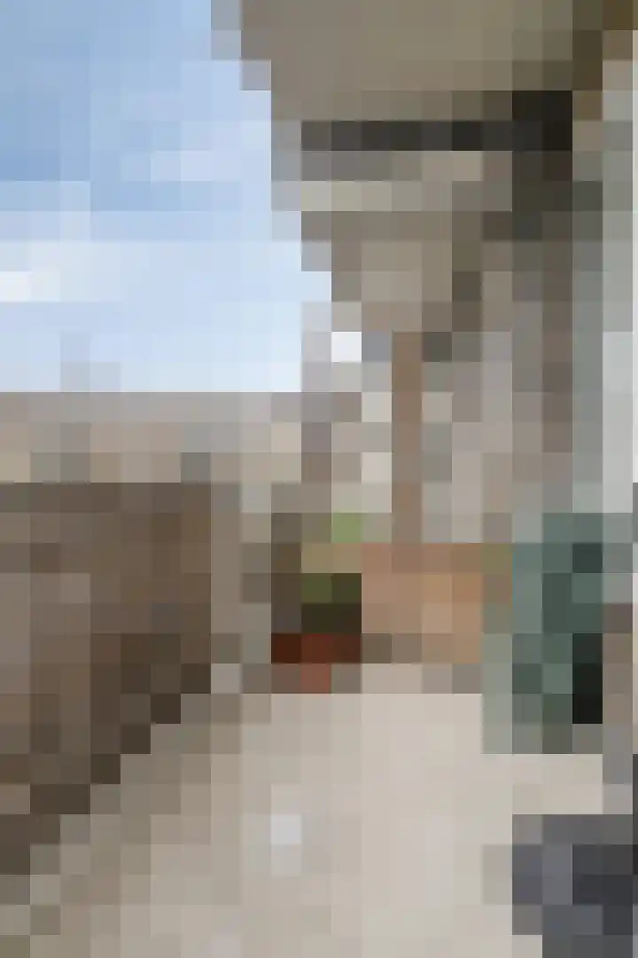 Zwaanshals 77 H Rotterdam thumbnail 21