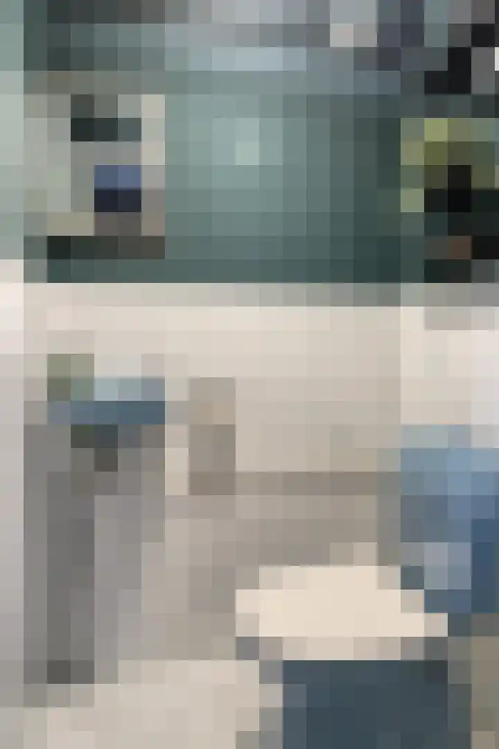 Zwaanshals 77 H Rotterdam thumbnail 25