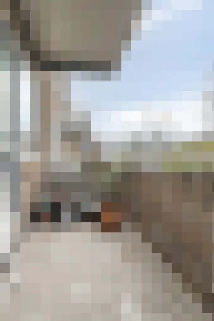 Zwaanshals 77 H Rotterdam thumbnail 27