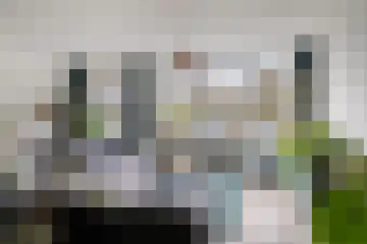 Zwaanshals 77 H Rotterdam thumbnail 4