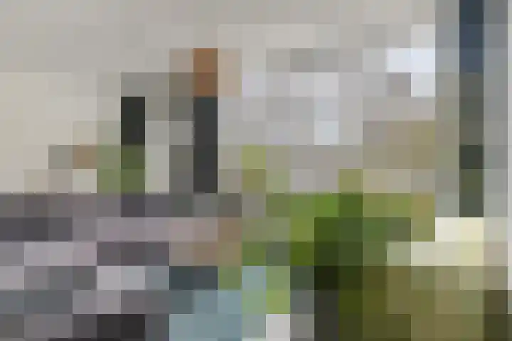 Zwaanshals 77 H Rotterdam thumbnail 5