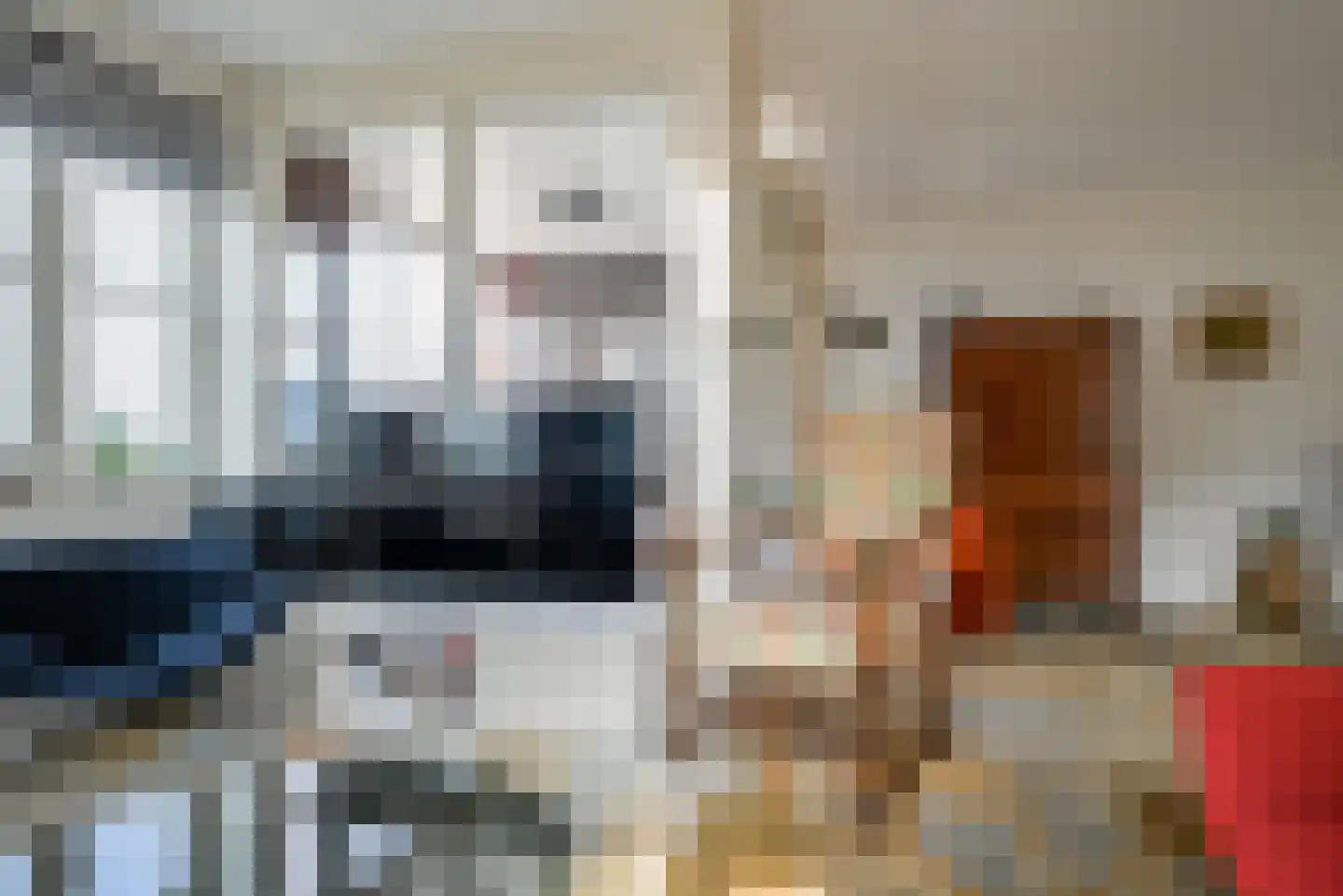 Zwaanshof 11 Bleiswijk thumbnail 12