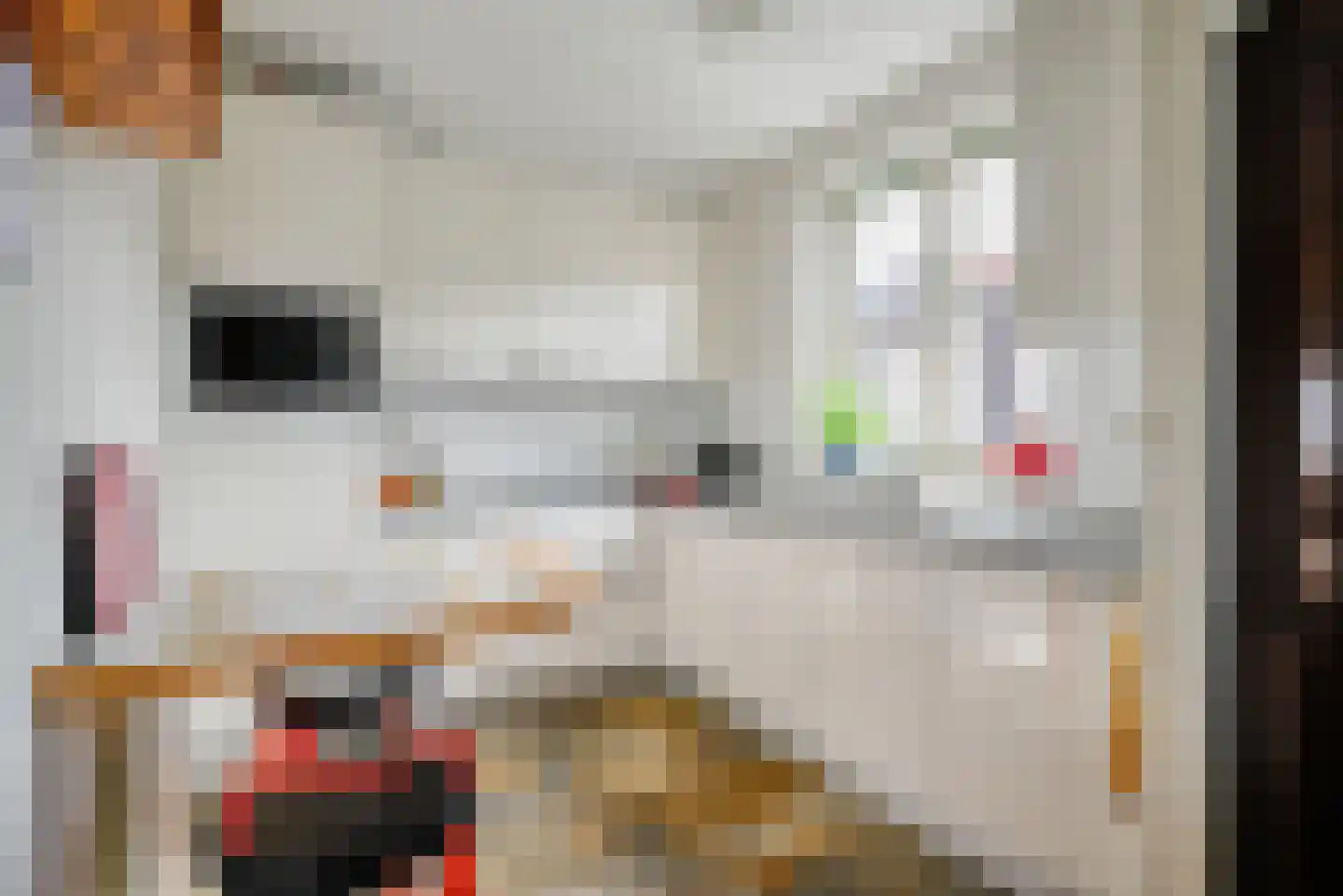 Zwaanshof 11 Bleiswijk thumbnail 16