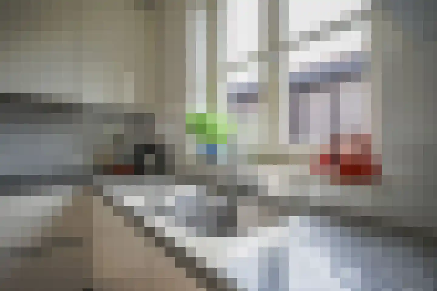 Zwaanshof 11 Bleiswijk thumbnail 19