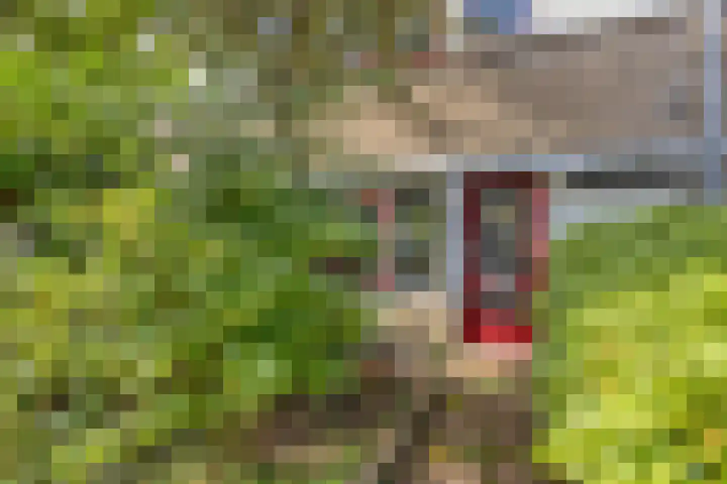Zwaansmeerstraat 48 Beverwijk thumbnail 20