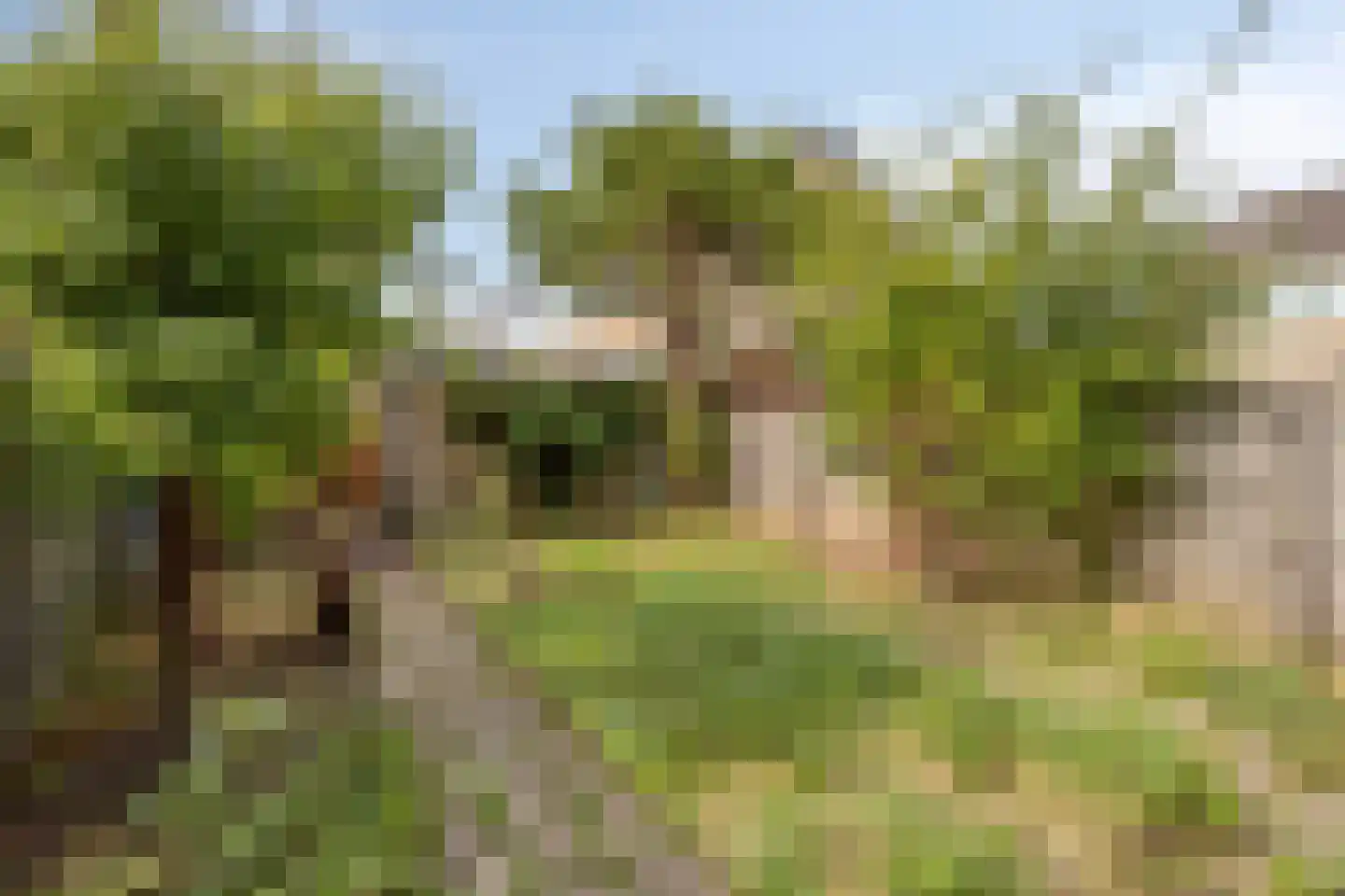Zwaansmeerstraat 48 Beverwijk thumbnail 22