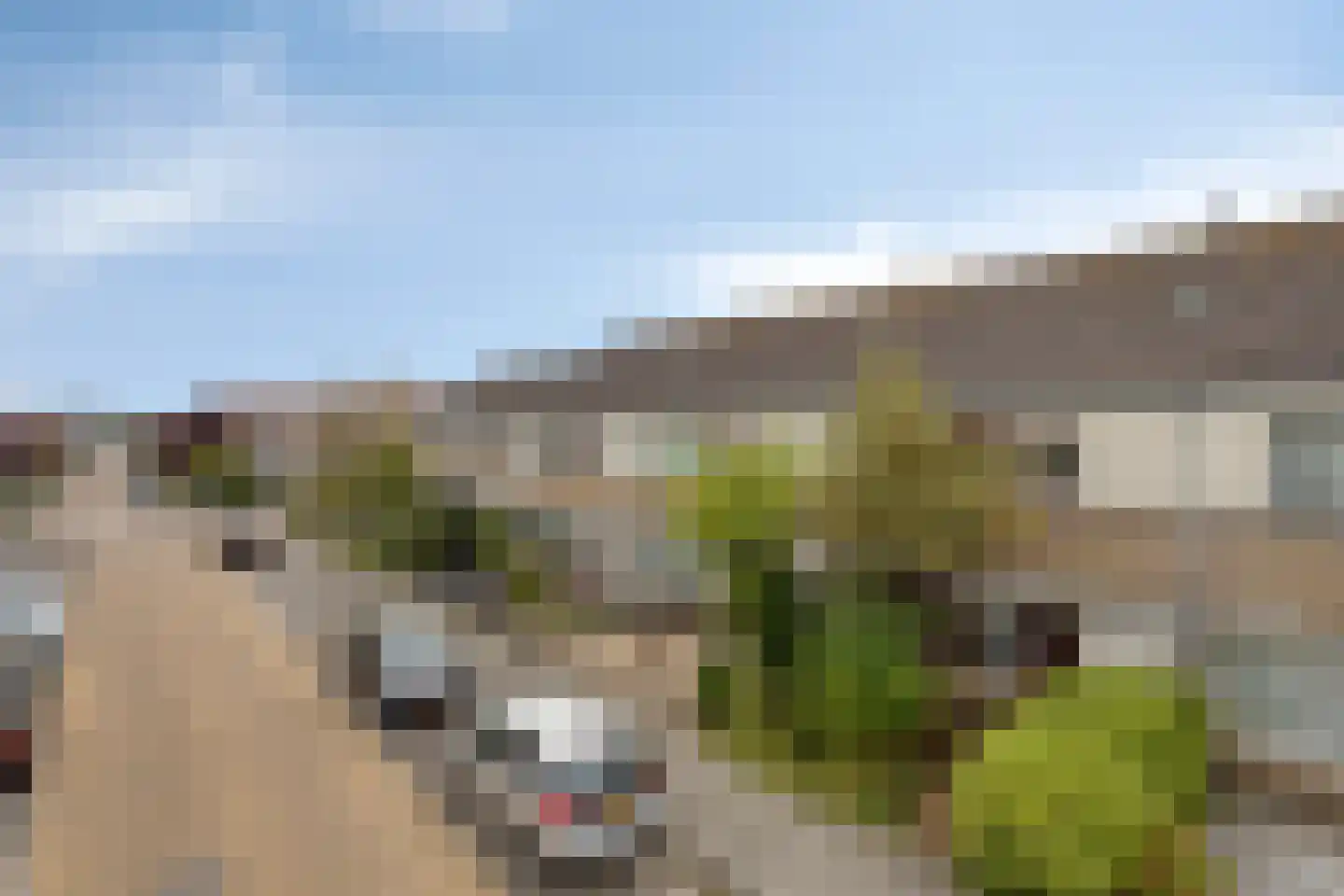 Zwaansmeerstraat 48 Beverwijk thumbnail 25