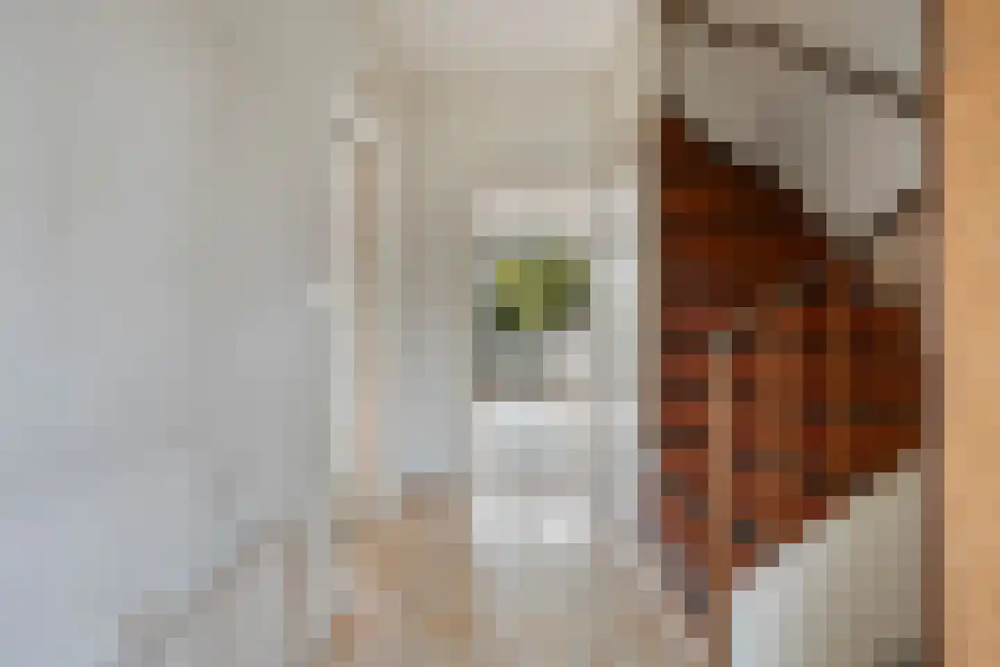 Zwaansmeerstraat 48 Beverwijk thumbnail 8