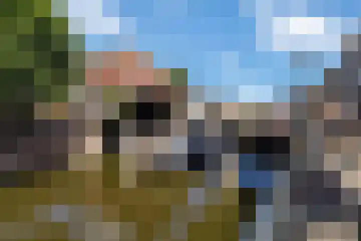 Zwaansteeg 10 Schiedam thumbnail 27