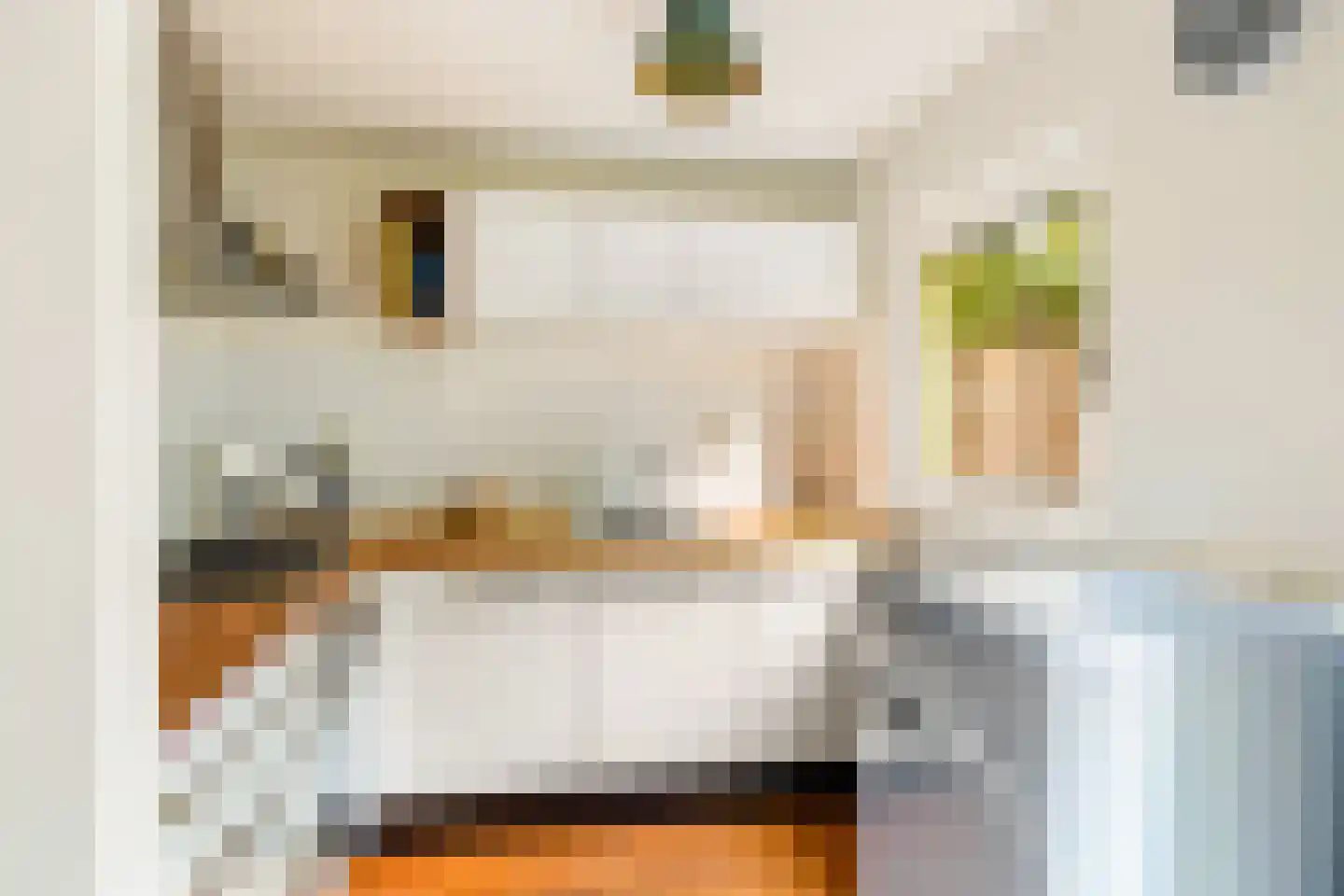 Zwaansteeg 16 Utrecht thumbnail 14