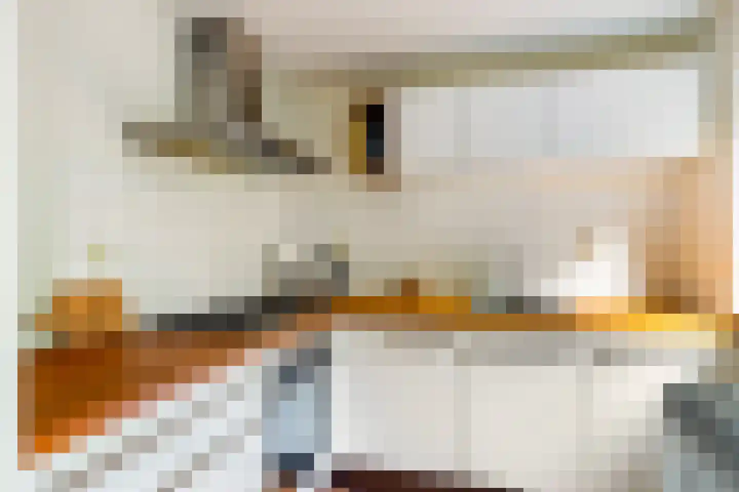 Zwaansteeg 16 Utrecht thumbnail 15