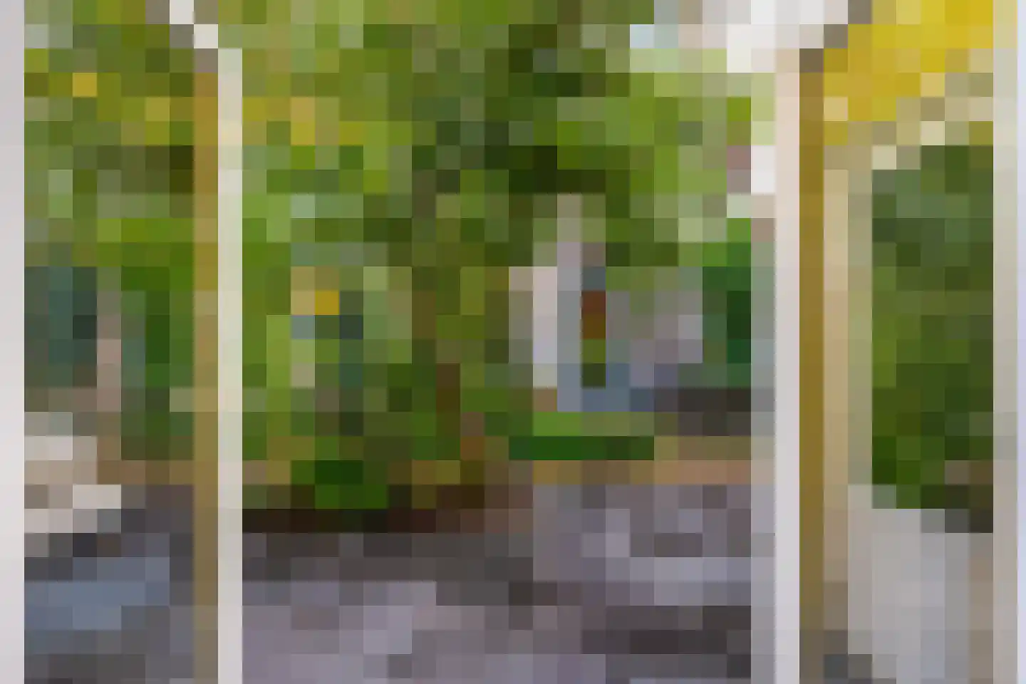 Zwaansteeg 16 Utrecht thumbnail 16