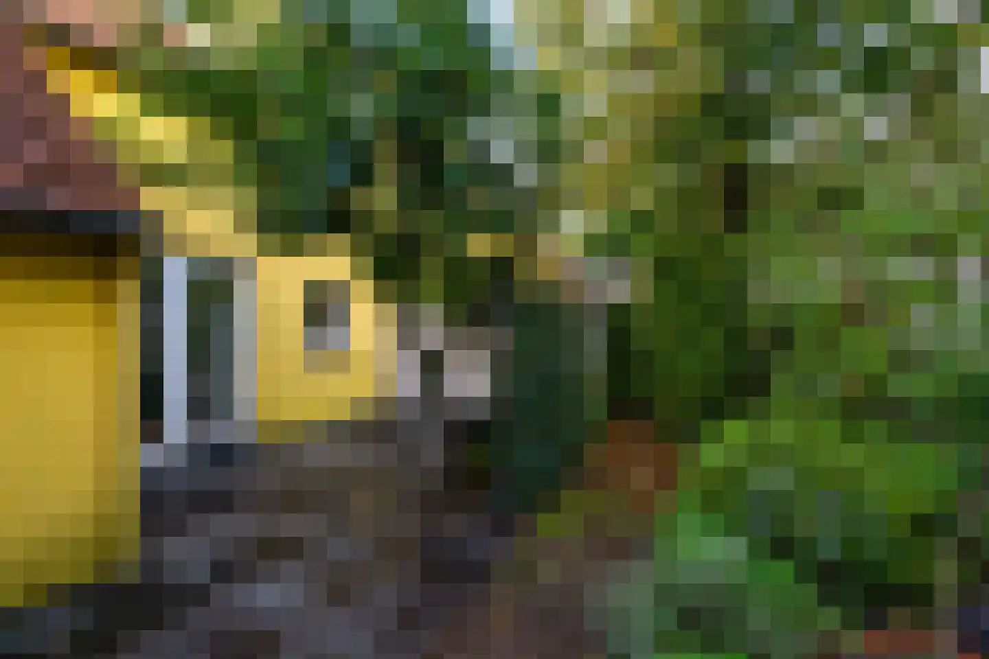 Zwaansteeg 16 Utrecht thumbnail 20