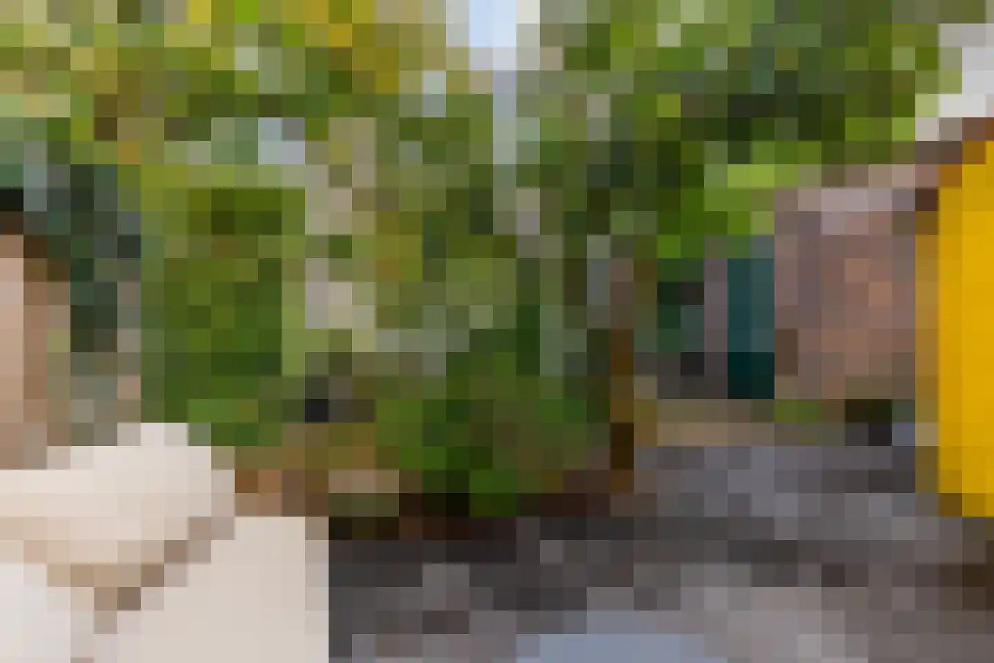 Zwaansteeg 16 Utrecht thumbnail 22
