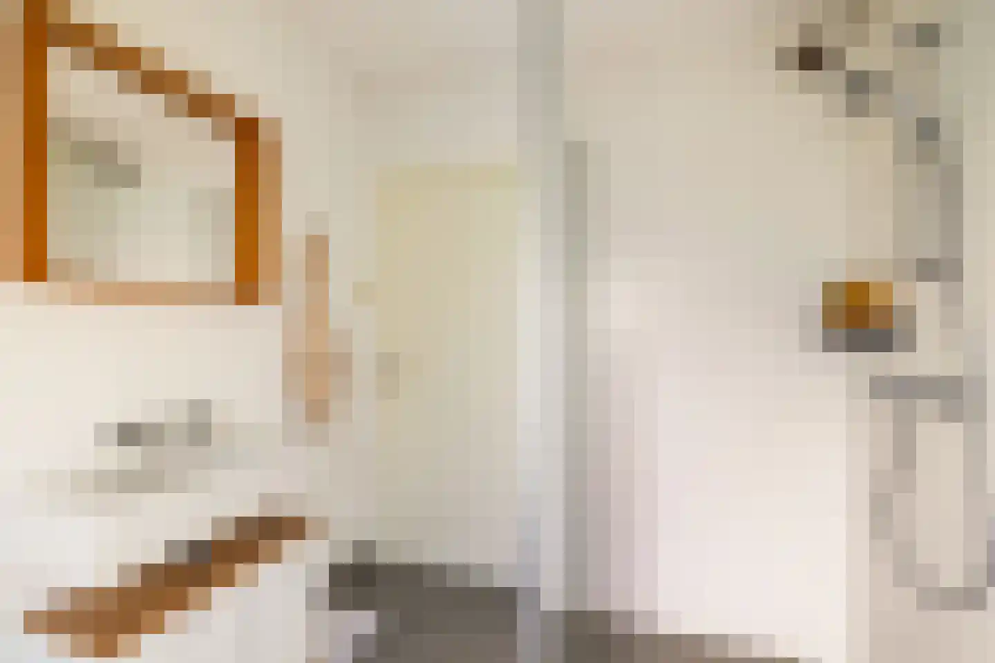 Zwaansteeg 16 Utrecht thumbnail 32