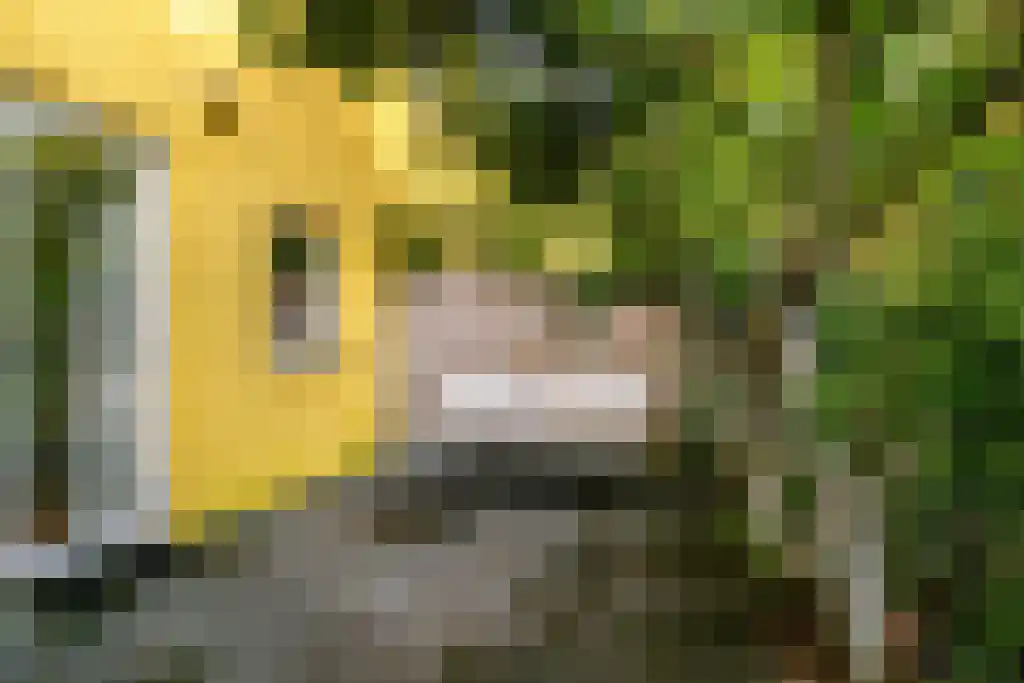 Zwaansteeg 16 Utrecht thumbnail 4