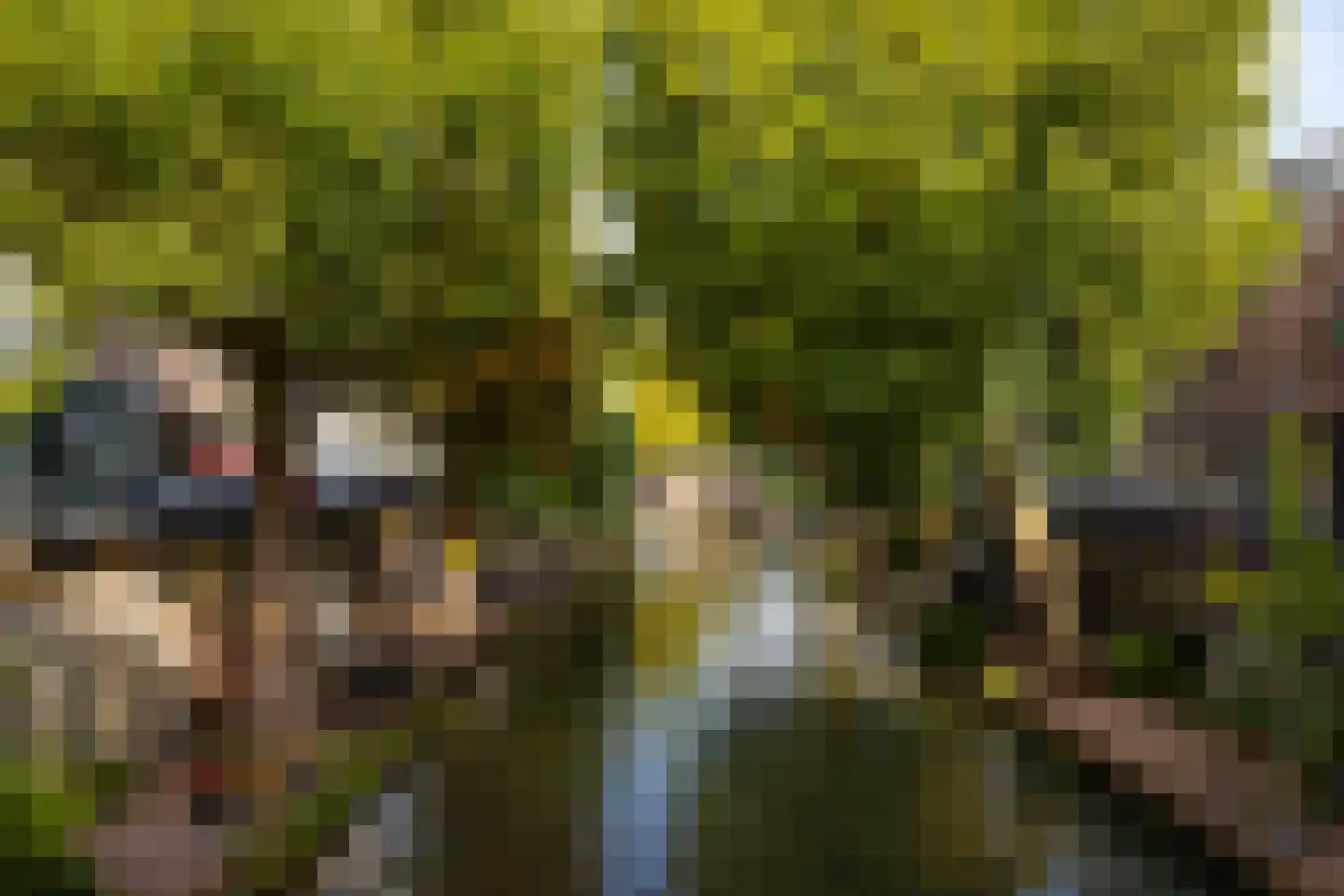 Zwaansteeg 16 Utrecht thumbnail 43
