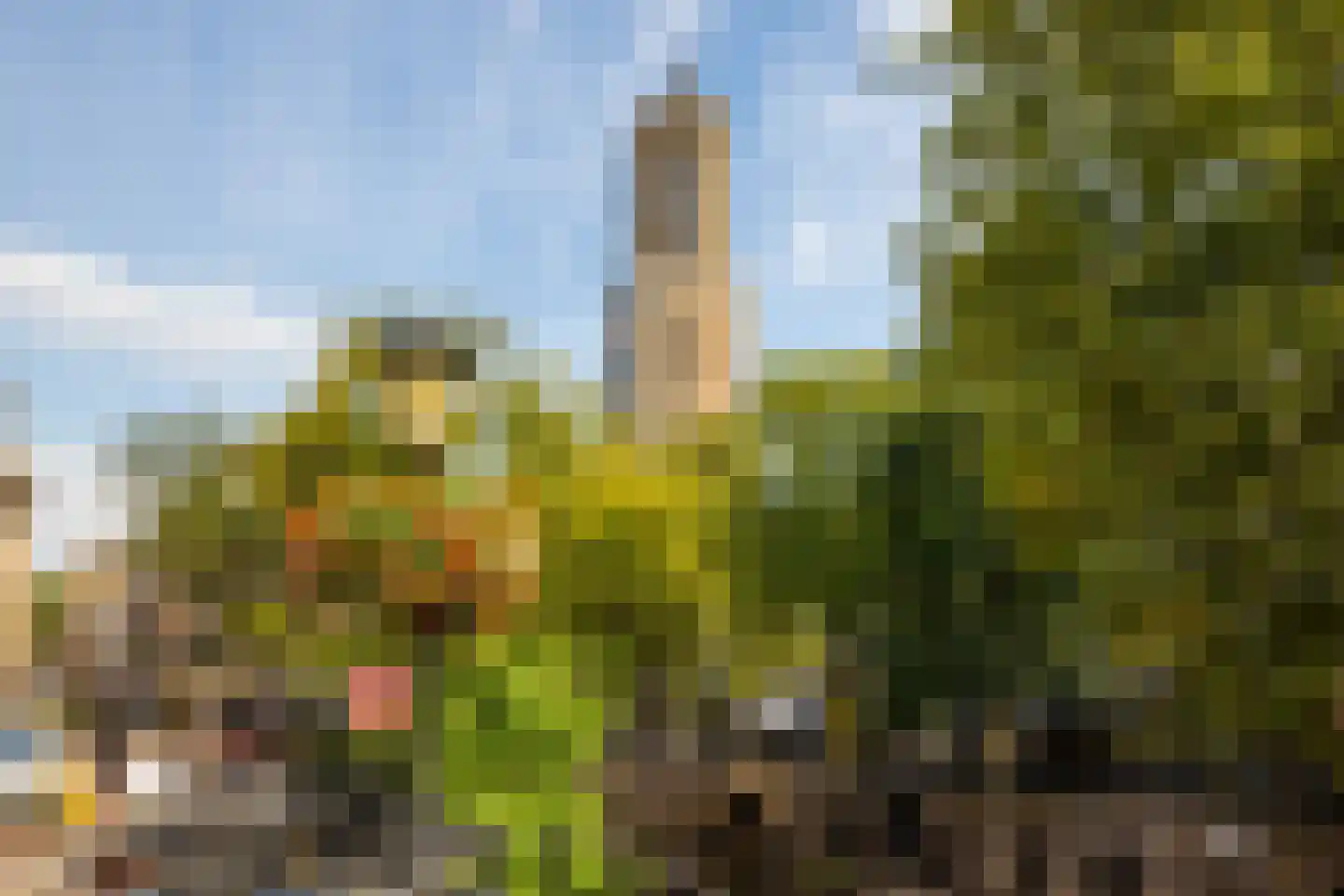 Zwaansteeg 16 Utrecht thumbnail 44