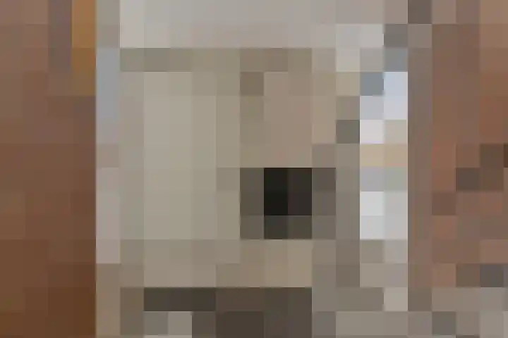 Zwaanstraat 10 Wormerveer thumbnail 7