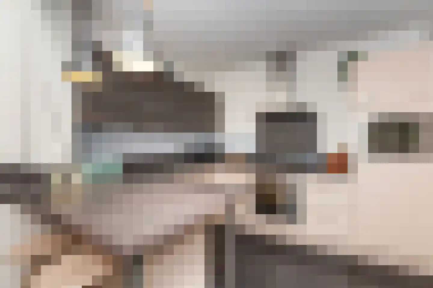 Zwaanstraat 11 Bleskensgraaf ca thumbnail 17