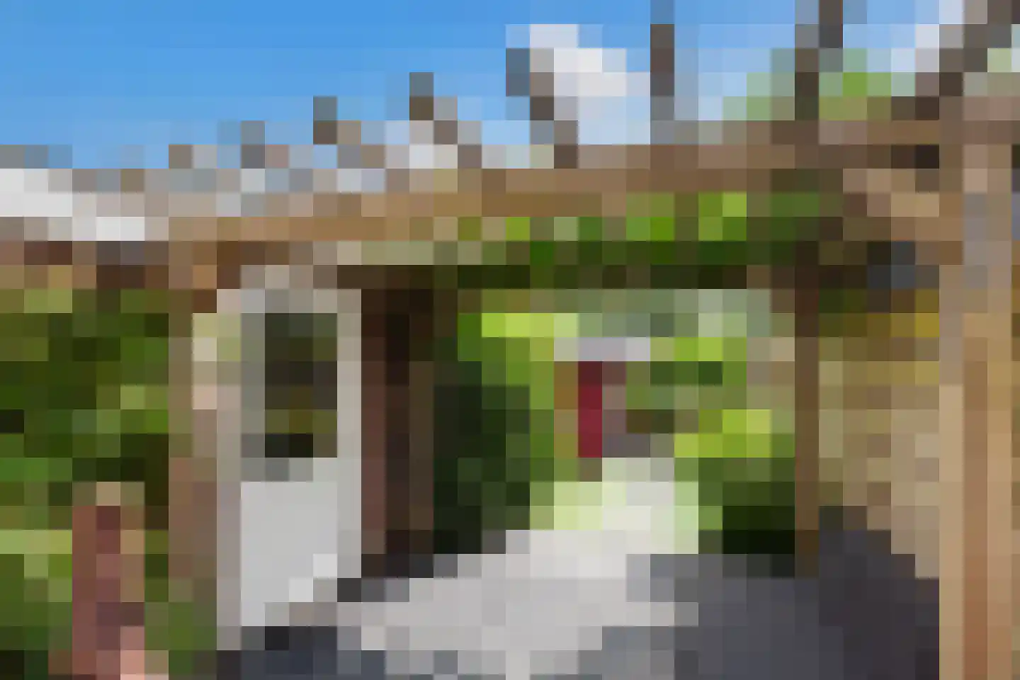 Zwaanstraat 11 Bleskensgraaf ca thumbnail 34