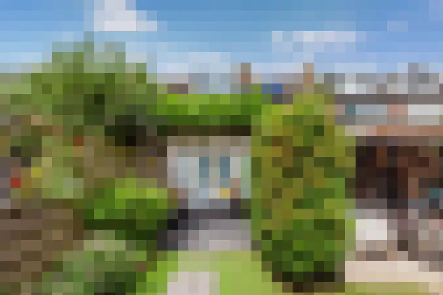 Zwaanstraat 11 Bleskensgraaf ca thumbnail 36