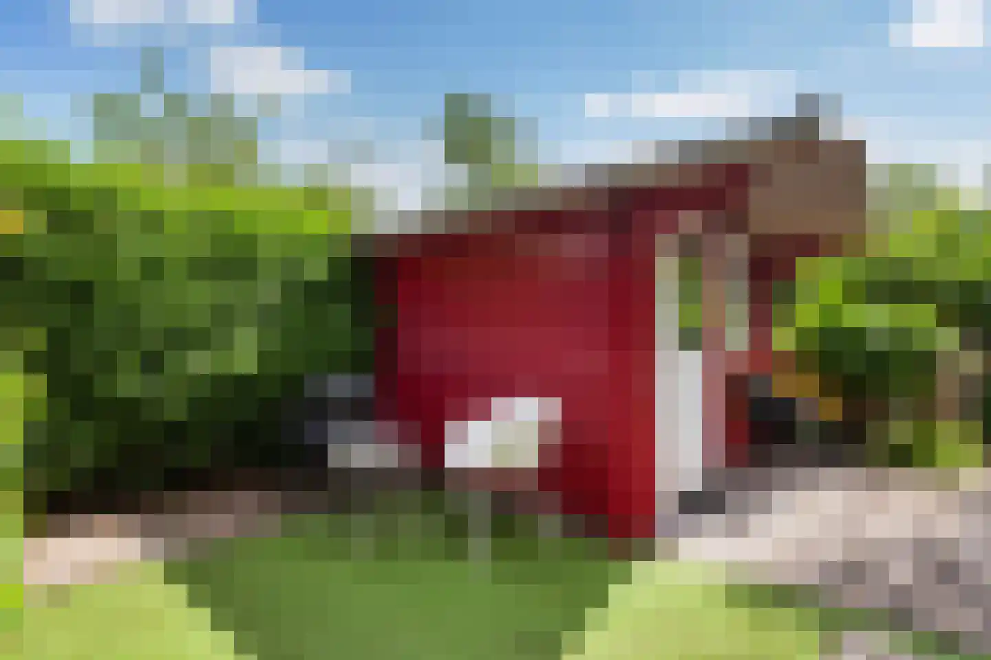 Zwaanstraat 11 Bleskensgraaf ca thumbnail 37
