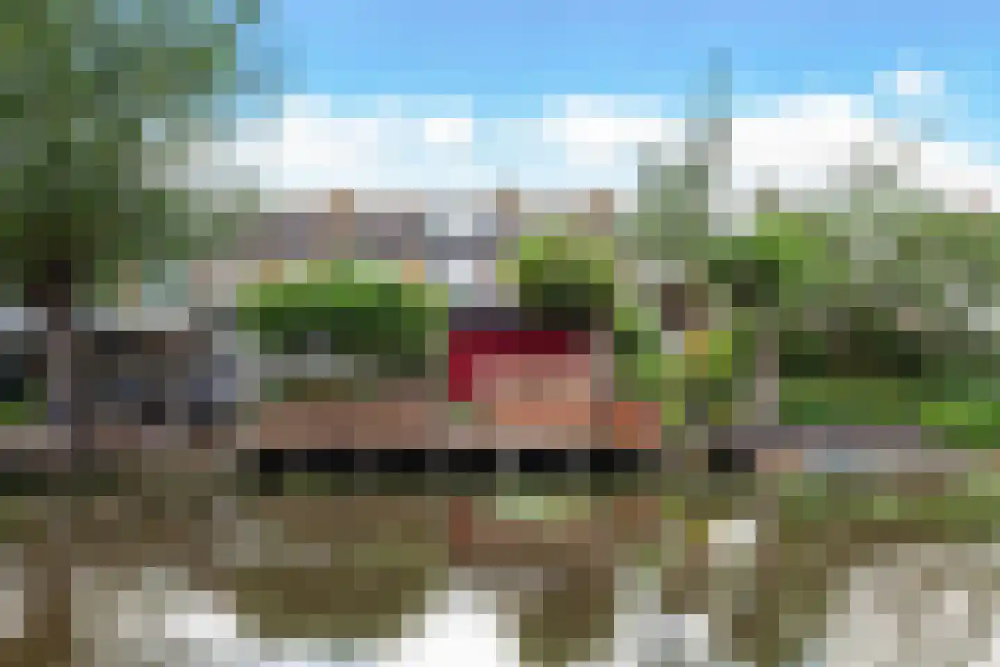 Zwaanstraat 11 Bleskensgraaf ca thumbnail 38