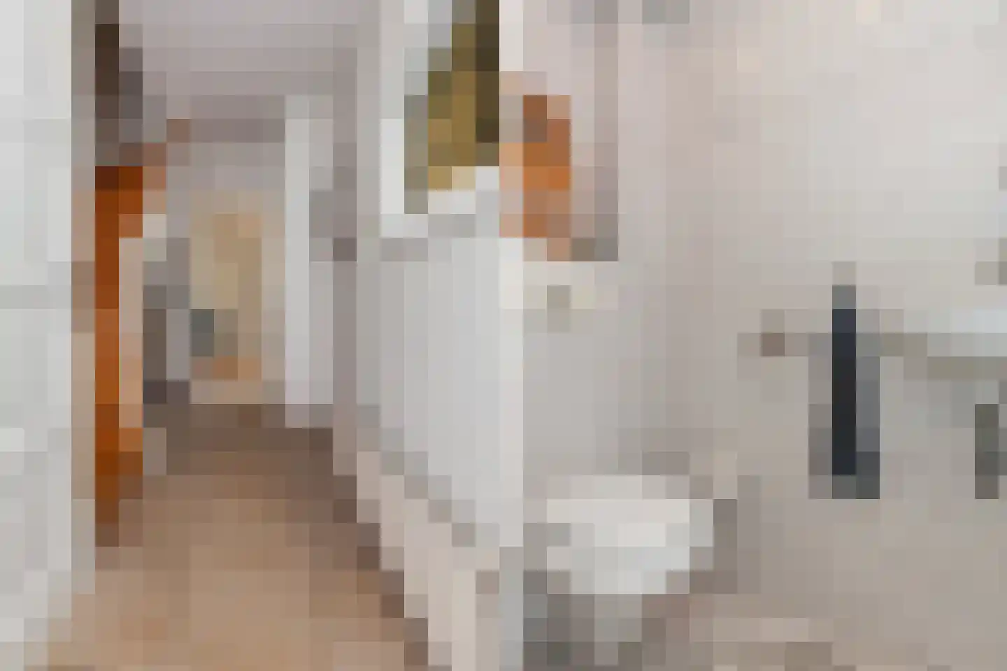 Zwaanstraat 11 Bleskensgraaf ca thumbnail 4