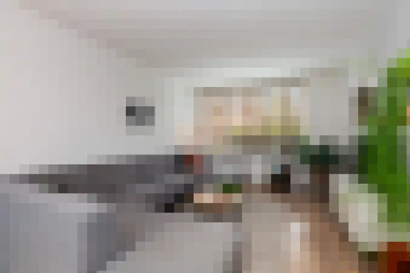 Zwaanstraat 11 Bleskensgraaf ca thumbnail 7