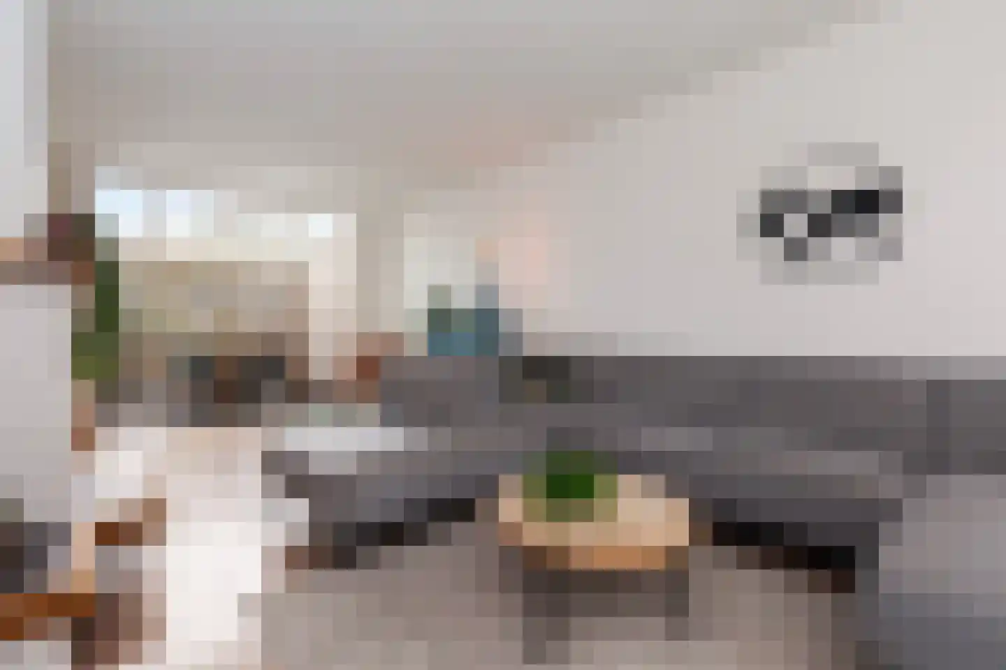 Zwaanstraat 11 Bleskensgraaf ca thumbnail 8