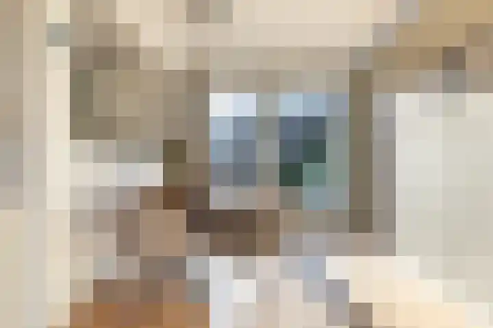 Zwaanstraat 11 Krommenie thumbnail 10