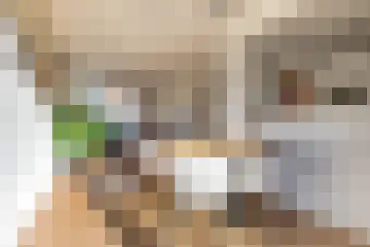Zwaanstraat 11 Krommenie thumbnail 11