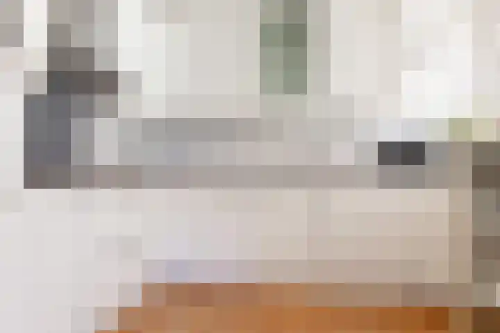 Zwaanstraat 11 Krommenie thumbnail 13