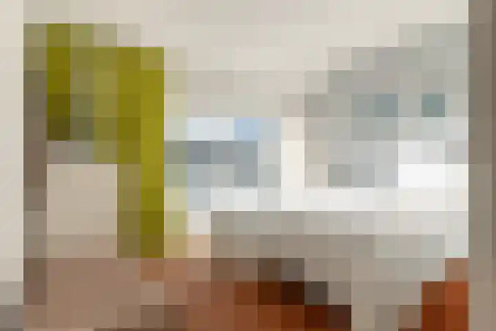 Zwaanstraat 11 Krommenie thumbnail 17